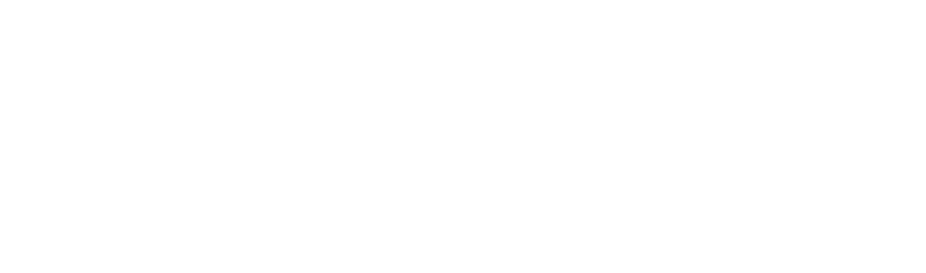 Genexus Consulting